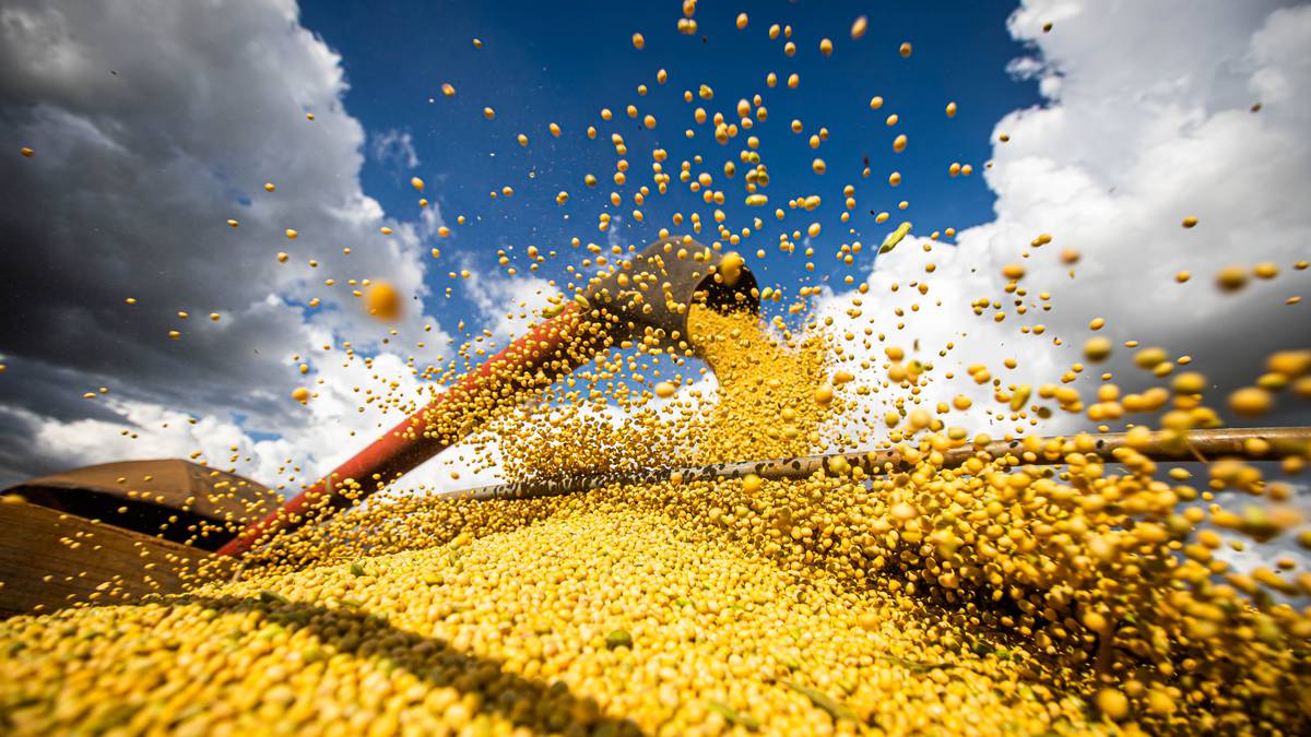 Clima no Brasil começa influenciar preços internacionais dos grãos