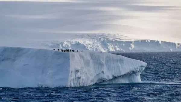 El hielo marino de la Antártida no está volviendo a crecer, un hecho sin precedentesdfd