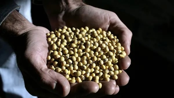 There Is a New Foreign Exchange Rate for Argentine Soy Exportersdfd