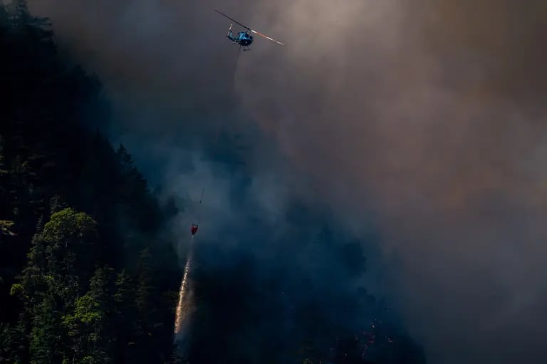 Los incendios forestales están a punto de quemar más terreno que nunca en Canadá este añodfd