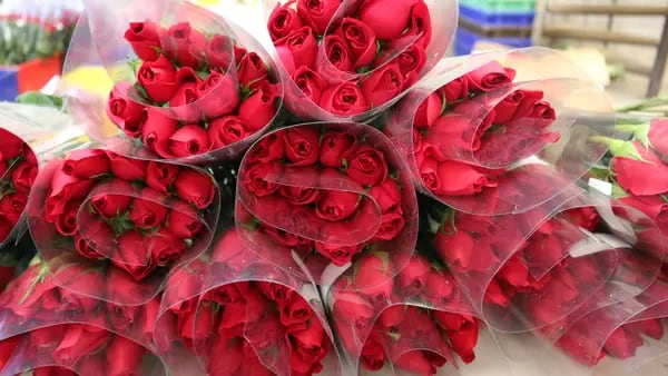 Tres países de LatAm venderán millones de dólares en flores para San Valentíndfd