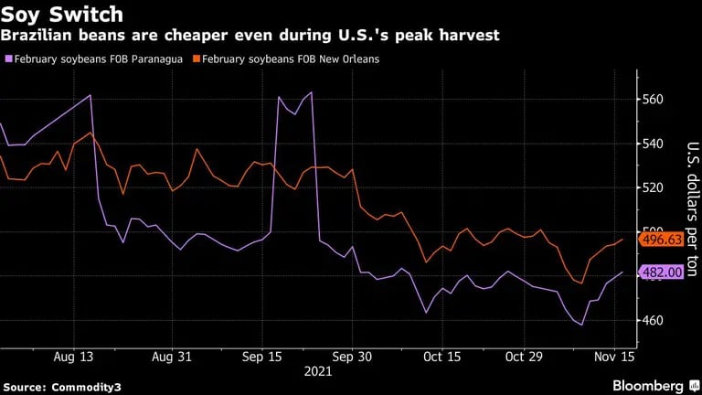Brazilian beans are cheaper even during U.S.'s peak harvestdfd