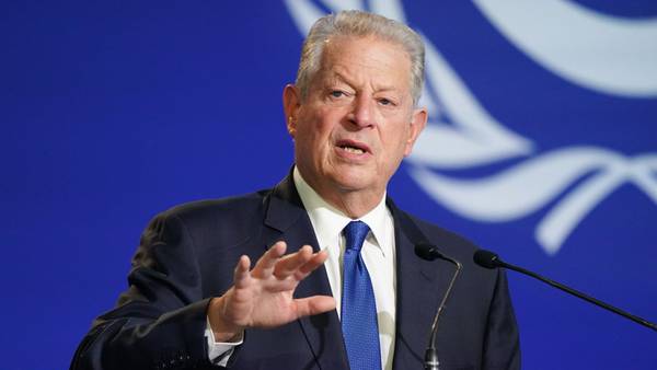 Al Gore denuncia riesgos del ‘greenwashing’ mientras los fondos abandonan el club verdedfd