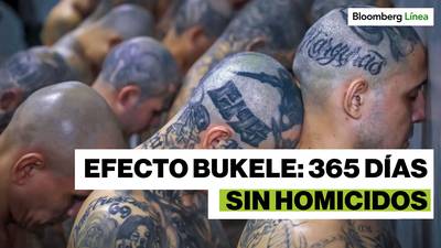 Efecto Bukele: ¿A qué costo se redujo el crimen en El Salvador?dfd