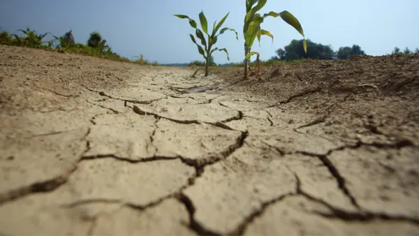 Por la sequía, la actividad del agro en Uruguay se desplomó más de 27%dfd