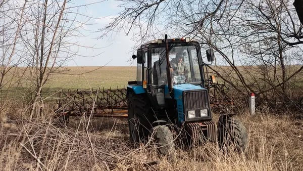 Ucrania necesita ayuda rápida para reconstruir la agricultura: Banco Mundialdfd