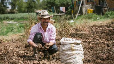 Colombia subsidiará la compra de fertilizantes para bajar el precio de alimentosdfd