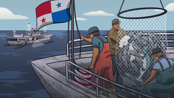 A FONDO: Panamá, una bandera de conveniencia para la pesca ilegal y el descontrol en altamardfd