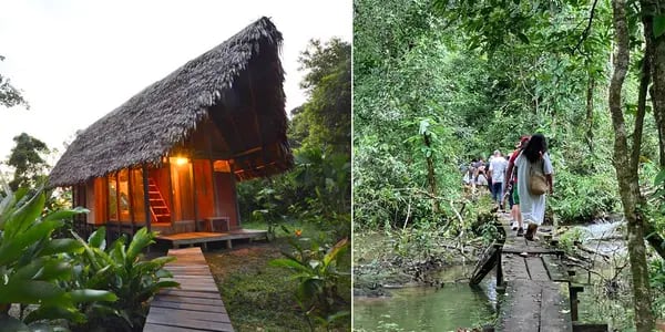 Cabaña en el Hotel Calanoa Amazonas, en Colombia, y el inicio del senderismo con Top Che, en Chiapas.