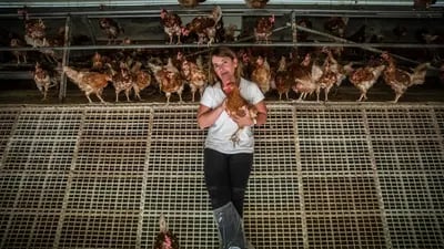 Ainhoa Álava con sus gallinas. Fotógrafo: Ángel García/Bloomberg