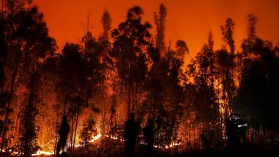 Incendios forestales en Chile: aumenta la cifra de personas muertasdfd
