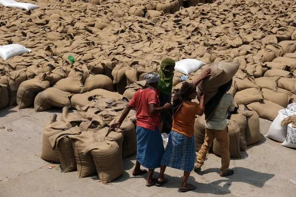Sacos de trigo cargados en un camión en el mercado de cereales del Punjab.