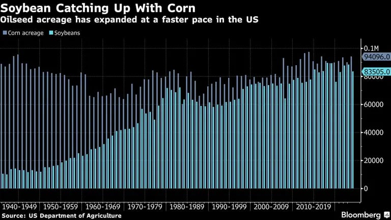 Produção de soja nos EUA cresce e ameaça tirar o domínio secular do milho como cultura mais plantada no paísdfd