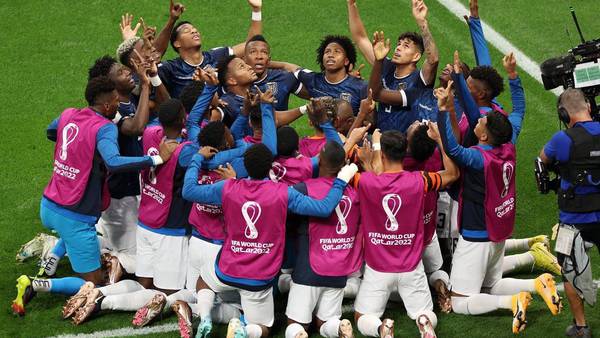 El empate de Ecuador con Países Bajos se celebra como victoria en el paísdfd