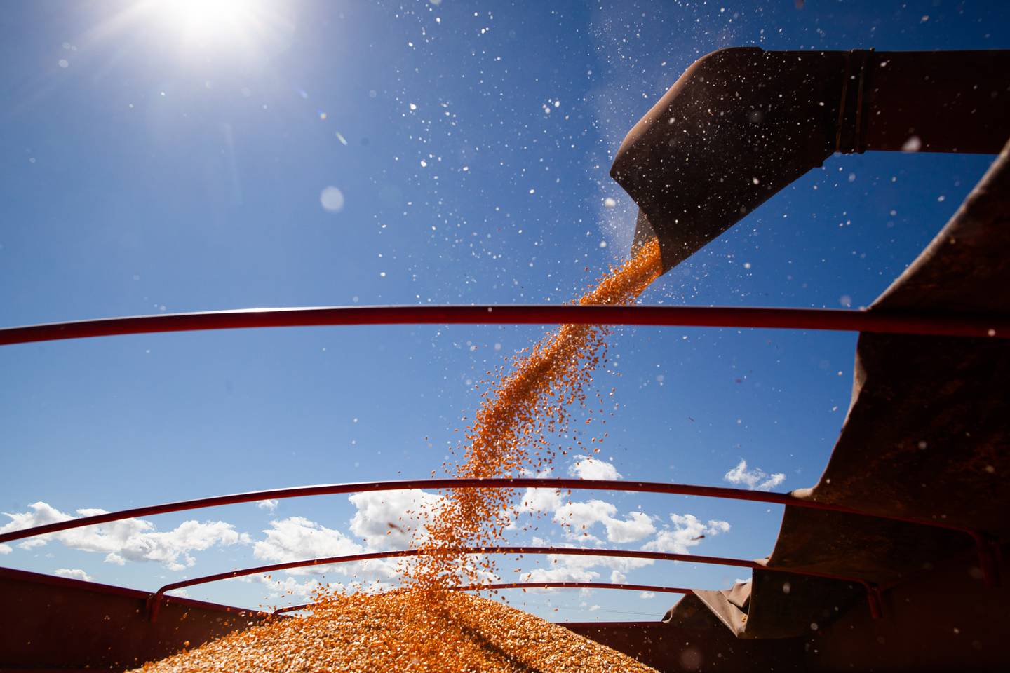 Oferta da segunda safra pode minimizar perdas registradas nas lavouras de soja neste ano