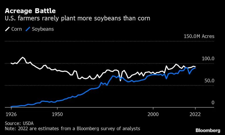 Nos EUA, agricultores raramente plantam mais soja que milhodfd