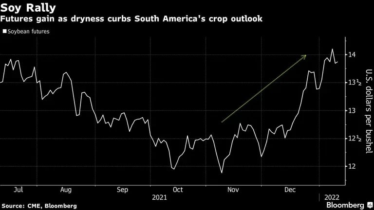 Los futuros de la soja suben a medida que la sequía daña las proyecciones de cosecha de Brasil. dfd