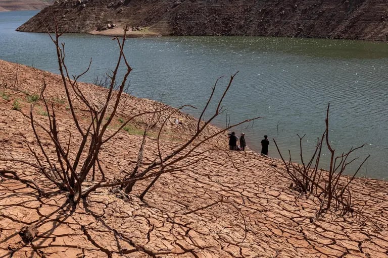Sequía a las orillas del lagodfd