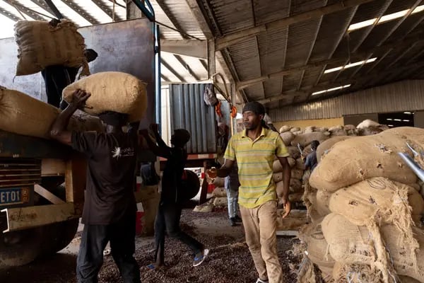 Workers unload cocoa beans at a rebagging plant in San Pedro, Ivory Coast. Photographer: Paul Ninson/Bloomberg