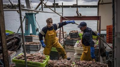 Tensiones entre Reino Unido y Francia aumentan por licencias de pesca tras Brexitdfd