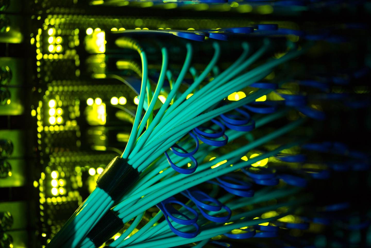 Cables alimentan una terminal de computación.