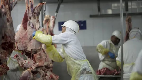 Exportaciones uruguayas: carne bovina y soja apalancan abril y se vislumbra récorddfd