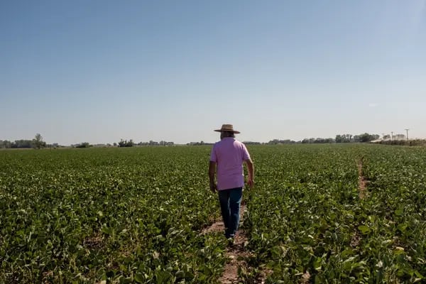 Agropecuaria uruguaya busca levantar US$250M para ampliar su negocio de irrigación