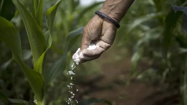 Maior produtor de fertilizantes para milho tem queda de 40% no faturamentodfd