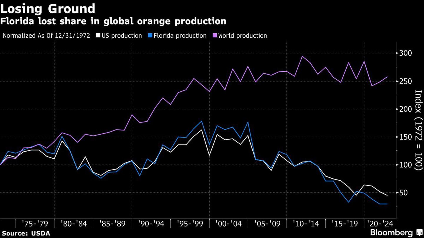 Florida pierde cuota en la producción mundial de naranjasdfd