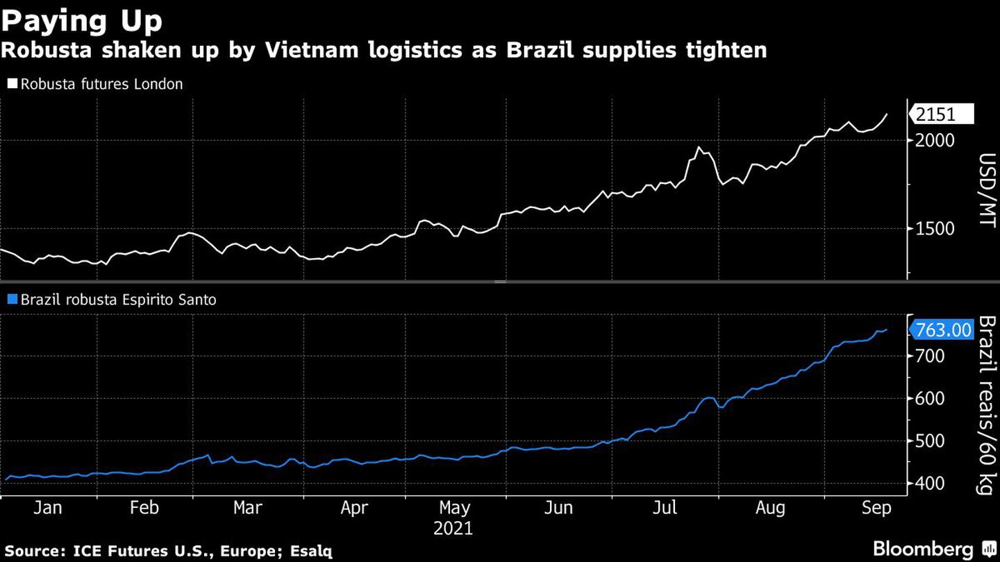 Pagando
El robusta se ve sacudido por la logística de Vietnam mientras el suministro de Brasil se reduce
Blanco: Futuros de robusta en Londres
Azul: Brasil robusta Espirito Santodfd
