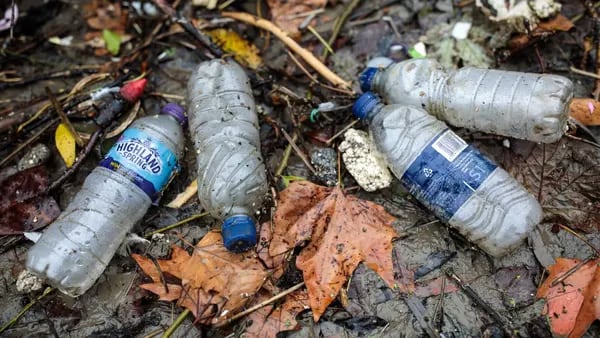 Una bacteria que consume plástico es una nueva esperanza para el reciclajedfd