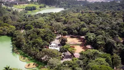 Zoológico de São Paulo tem registrado público de até 12 mil pessoas nos finais de semana, acima da média antes da pandemia