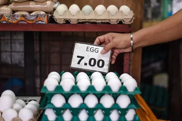 Los precios de huevos pasaron por alza en todo el mundo.