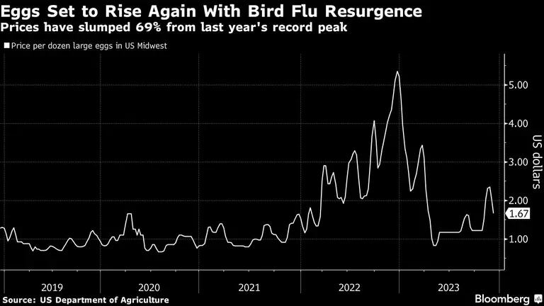 Eggs Set to Rise Again With Bird Flu Resurgence | Prices have slumped 69% from last year's record peakdfd