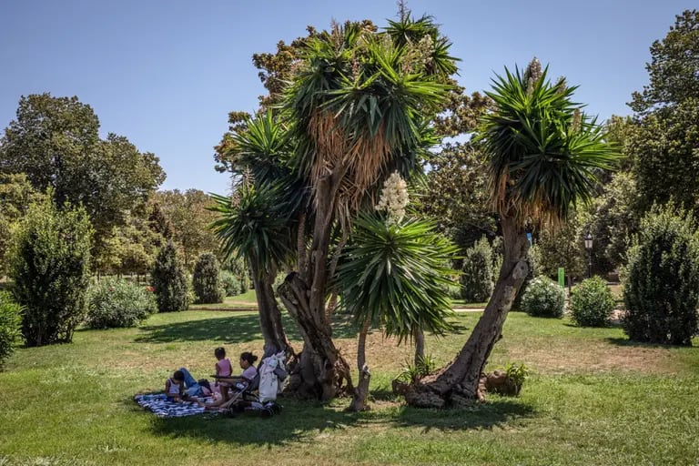 Una familia se refugia a la sombra de un árbol en el Parque de la Ciutadella, un refugio climático designado, parte de la Red de Refugios Climáticos de Barcelona (CSN), donde los residentes pueden refugiarse durante el calor extremo.dfd