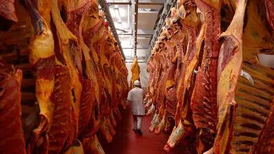 China suspende importação de duas unidades de carne bovina do Brasil