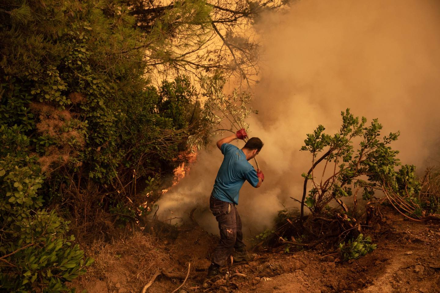 Un residente local utiliza una rama para repeler las llamas durante los intentos de controlar el incendio forestal en las afueras del pueblo de Kamatriades, en la isla de Evia, Grecia, el martes 10 de agosto de 2021.