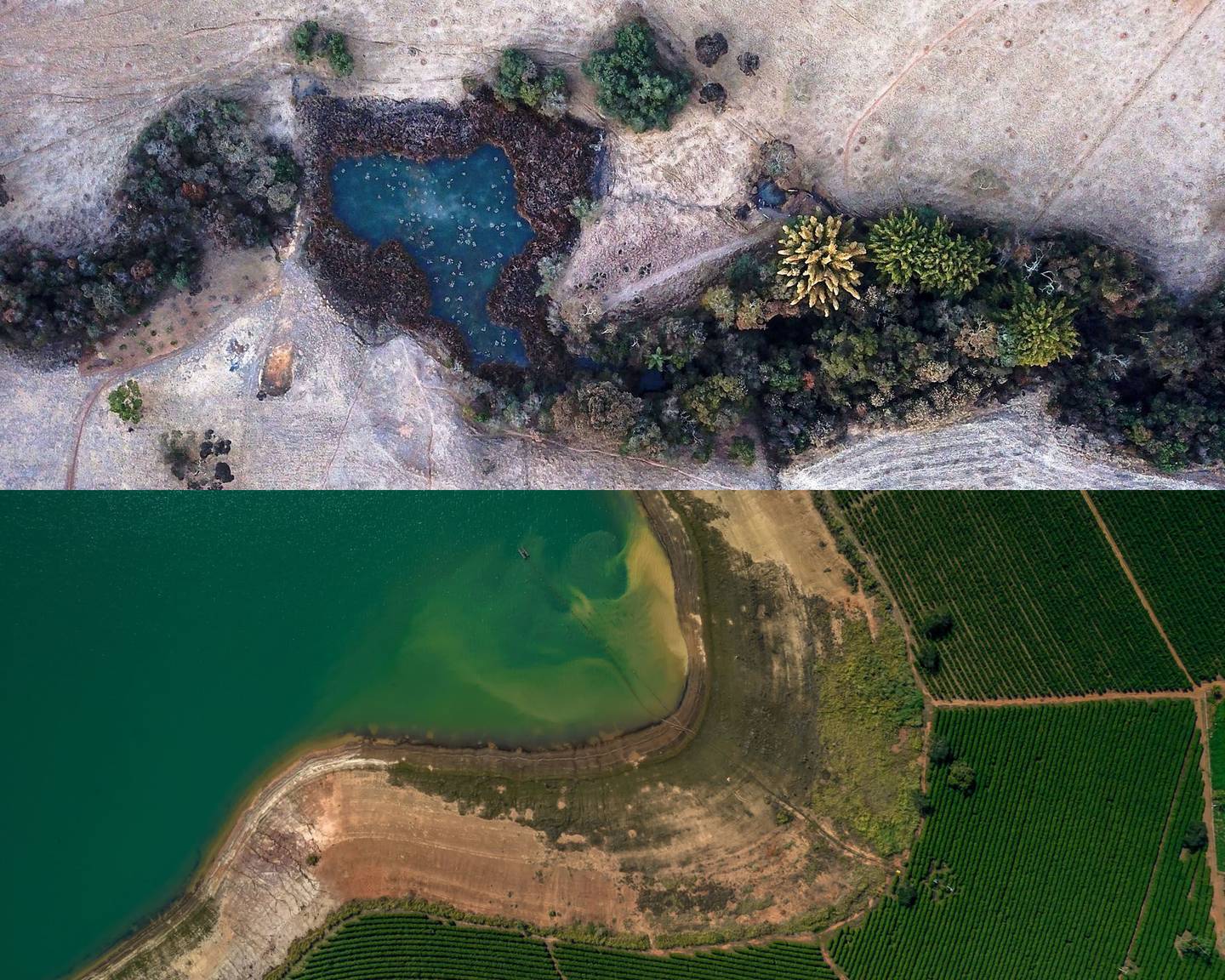 Top: Frost blankets a farm in the Minas Gerais state of Brazil on July 30. Bottom: A dry bank near a coffee plantation in the Parana River Basin of Minas Gerais just a month earlier. Photographer: Douglas Magno/AFP/Getty Images; Jonne Roriz/Bloombergdfd