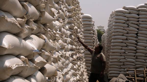 Países africanos mudam dieta e trocam o trigo por alternativas mais baratasdfd
