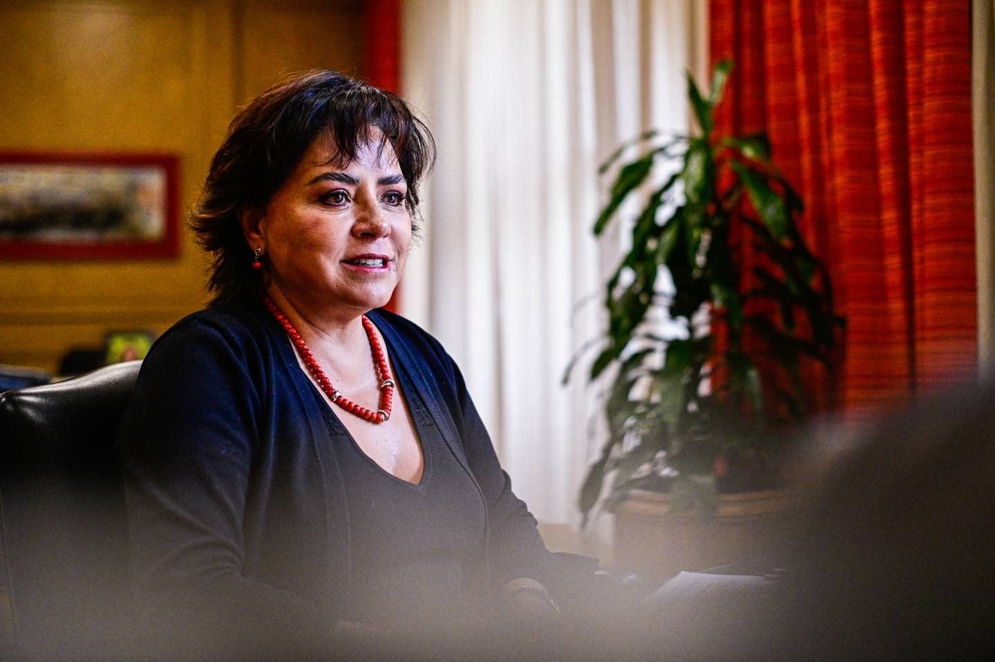 Irene Espinosa - Subgobernadora de BANXICO