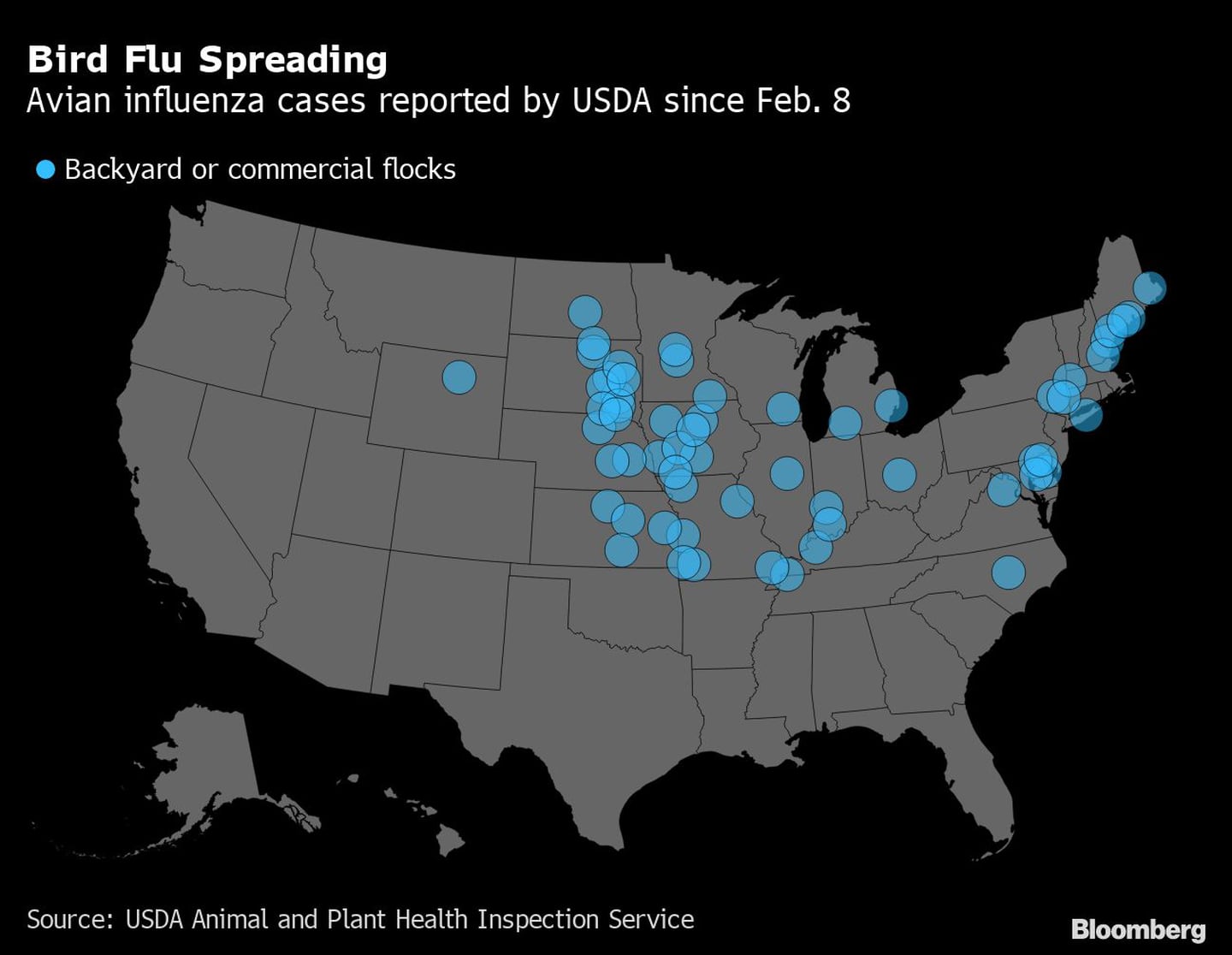 Propagación de la gripe | Casos de influenza aviar reportados por el USDA desde el 8 de febrero

dfd