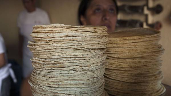 México establece arancel a la exportación de maíz para frenar el precio de las tortillasdfd
