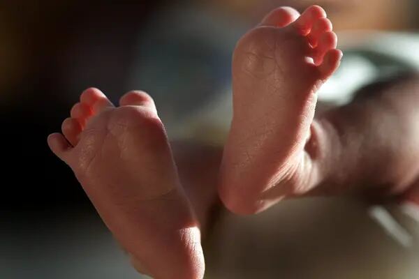 ¿Bebés Ozempic? Medicamentos para adelgazar como fármacos para la fertilidad provocan debatedfd