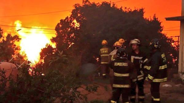 Incendios en Chile devastan campos de cerezas y amenazan las exportacionesdfd