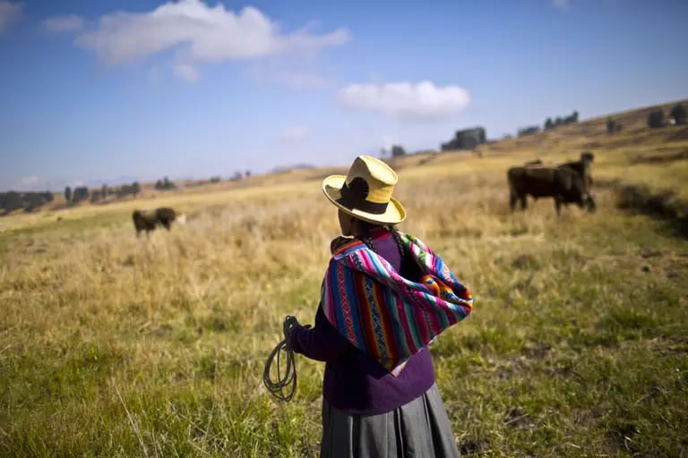 Producción agropecuaria de Perú sufre su mayor caída desde 1992: ¿a qué se debe?dfd
