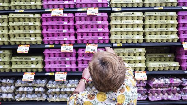 Contrabando de huevo mexicano a EE.UU. en la mira tras alza de 100% en preciosdfd
