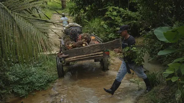 Colombia, en el radar de la ONU por conflictos agrarios y de propiedad de la tierradfd