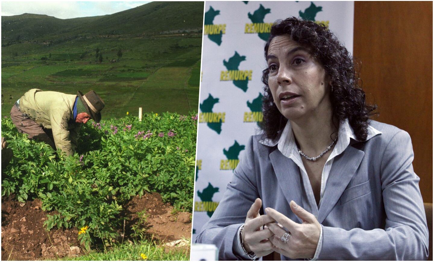 Ante la posible crisis de fertilizantes a nivel global se aprobó el presupuesto para que el gobierno peruano garantice la campaña agrícola 2022-2023 que inicia en agosto. Perú debe avanzar pronto para este objetivo, indica la economista Carolina Trivelli.