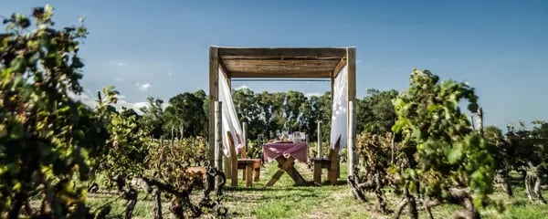 Campotinto es una de las bodegas de Carmelo con posada que ofrece alojamiento y degustación de vinos. Foto: Campotinto.