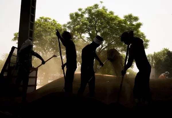 Unos trabajadores limpian arrozales en un mercado mayorista de las afueras en Nueva Delhi.